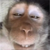 MOnKey reaCtioNs 🐵😝🧃 26