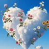 Amor 5