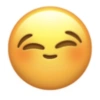 Emoji I-Phone meme 10