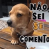 Aleatórias 4 18