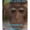 🎀🐵🐈‍⬛ 23