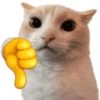 😼🫐 TikTok Cats 🫐😼 15