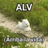 ALV (Arriba la vida)