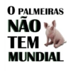 Zoando o Palmeiras  8