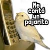 Me Contó un Pajarito