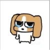 The damn dawg 5