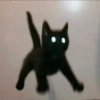 Gatitos Pa' ti & Pa' mi 16