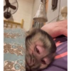 🎀🐵🐈‍⬛ 14