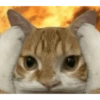 Meow 19