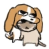 The damn dawg 6