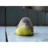 Enojado pero tierno 10