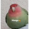 Animais  21