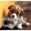 SHITPOST PROS AMIGOS 14