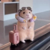 Hamsters Fofinhos 🐹 19