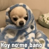 Frío ❄❄ 5