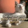 Oye no me gusta verte triste, largate porfas