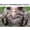 Vos nub 19