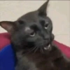 Memes moods 12