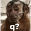 🎀🐵🐈‍⬛ 26