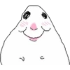 Meme do hamster 🐹 5