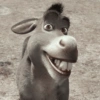 Shrek's donkey  9