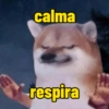 Cachorro  12