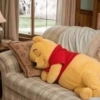 🧸🍯 Winnie Pooh Mood 🍯🐝 19