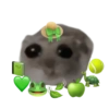 Sad Hamster 25