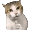 Memes Canon 5
