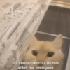 💕Animalitos con frases💕 15