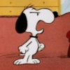 Snoopy fora de contexto 🐶 7