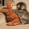 🐵 PUNCH EL MONITO 🧸 11