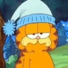 Garfield Cat 20