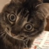 🫯🫪 WTF - OMG [Mood] 🫪🫯 5