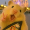 Hamsters Fofinhos 🐹 3