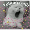 İyi gecelers 8