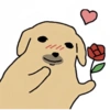 Dog 18