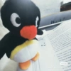 Pinguino random  12