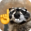 Guaxinim nerd