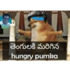 Cheems telugu 5.0 5