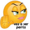 vas a ver perris