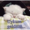 İyi gecelers 10