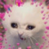 Explosión de Amor 5💕💘💓💗💖💝 13