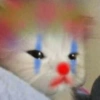 😿😭 Gatos Sad 😭😿 7