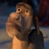 Shrek's donkey  7