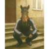 Memes random - Caballos 🤣 5