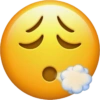 EMOJI IPHONE 13