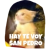 Memes graciosos 10