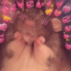 Rato Fofo com Corações