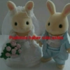 🙂‍↕️SYLVANIAN MEMES 😎 9
